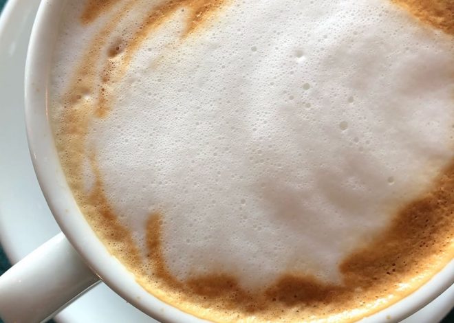 Cara memilih Pembuih Susu: 5 tips