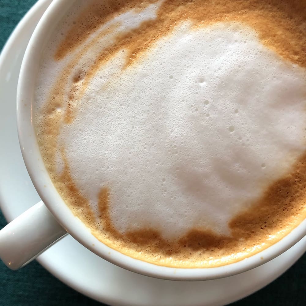 Cara memilih Pembuih Susu: 5 tips